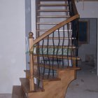 ant_medines_41