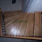ant_medines_42